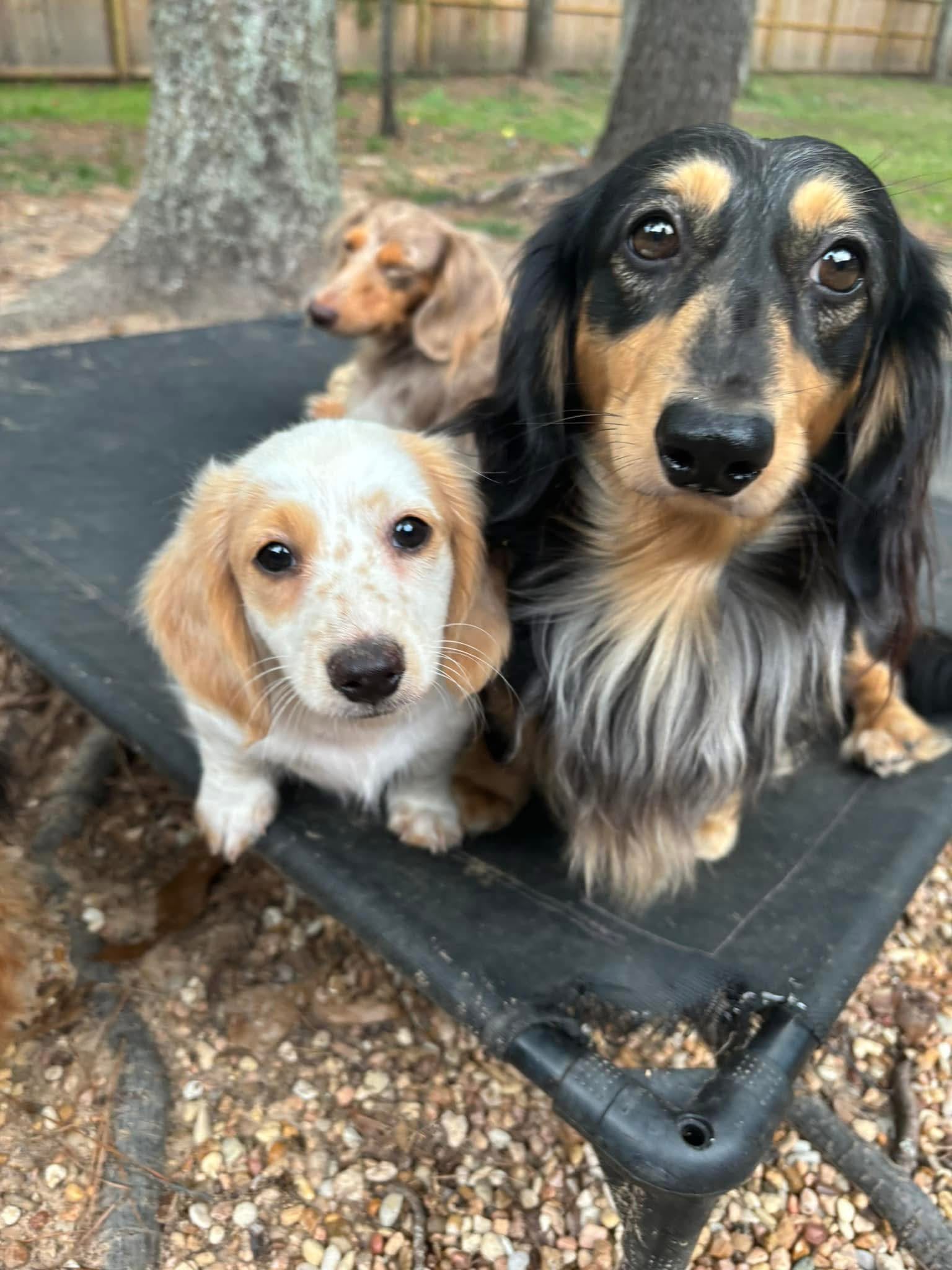 Sweet Personalities From The Start