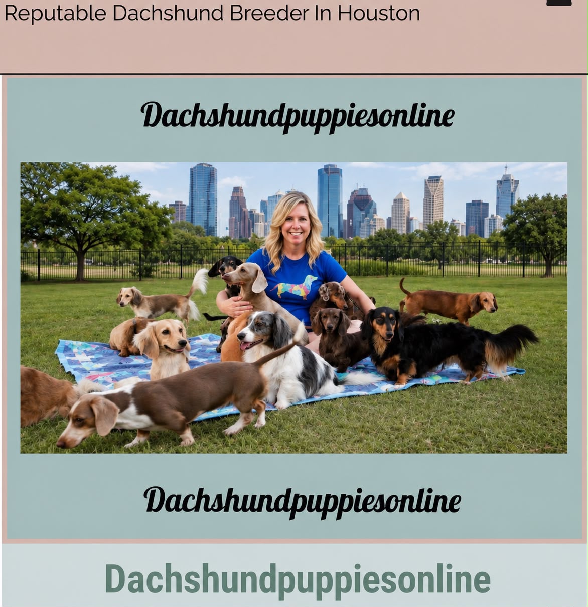 A Loving Home for Every Dachshund